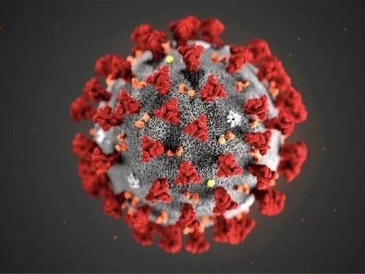 Pesquisadores da UFMG alertam para efeitos de presença do novo coronavírus no esgoto