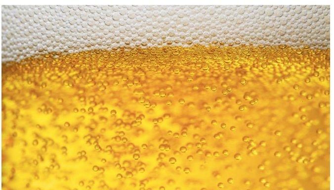 Processos com membranas na Indústria Cervejeira Processos com membranas na Indústria Cervejeira